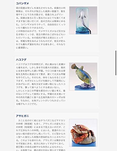 Amazon.co.jp: 日本水族館 立体生物図録2 全15種 コンプリートセット
